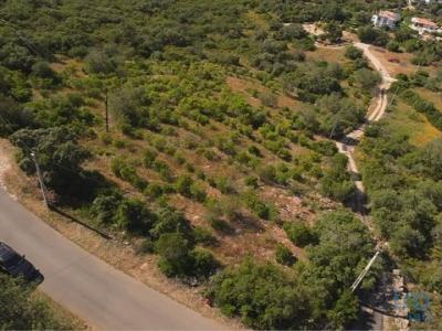 Annonce Vente Terrain Faro