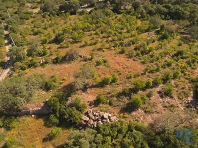 Acheter Terrain 7320 m2 Faro