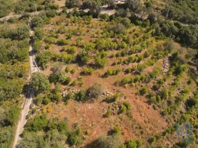 Acheter Terrain Faro rgion FARO