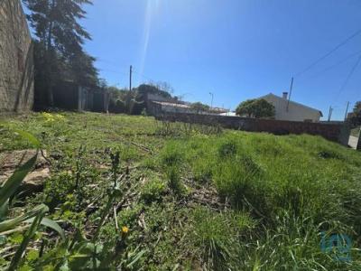 Annonce Vente Terrain Cadaval