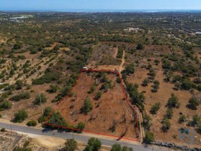Annonce Vente Terrain Faro