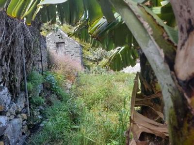 Acheter Terrain Porto-moniz rgion MADEIRA