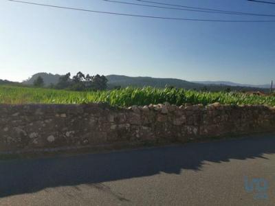 Acheter Terrain 4675 m2 Esposende