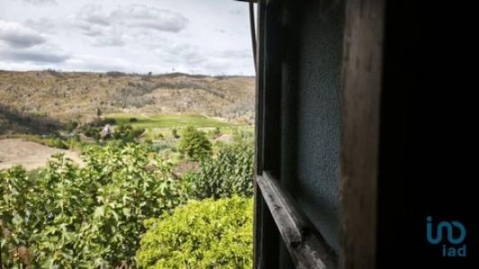 Acheter Maison Andorinha rgion COIMBRA
