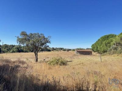 Acheter Terrain Lagos rgion FARO