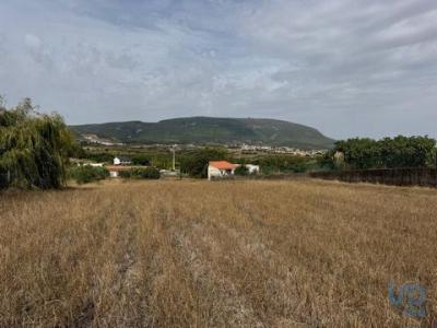 Annonce Vente Terrain Alenquer