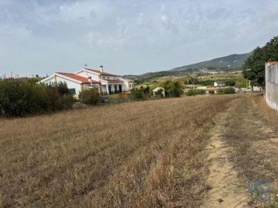 Acheter Terrain 8000 m2 Alenquer