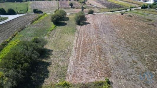 Acheter Terrain Aveiro rgion AVEIRO