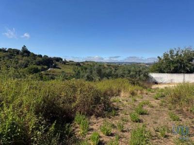 Annonce Vente Terrain Alenquer