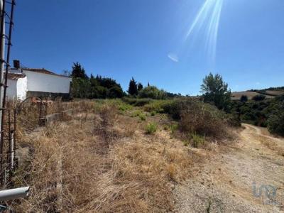 Acheter Terrain 641 m2 Alenquer