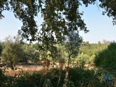 Vente Terrain Ferreira-do-zezere CHAOS 14 au Portugal