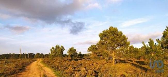 Annonce Vente Terrain Vila-do-bispo