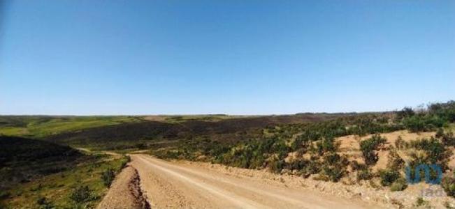 Acheter Terrain 32767 m2 Vila-do-bispo
