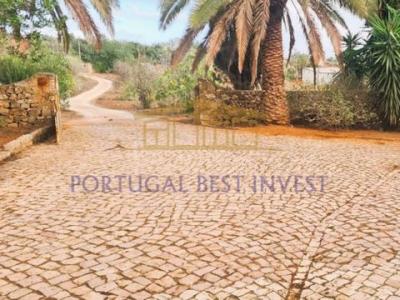 Acheter Maison 315 m2 Albufeira