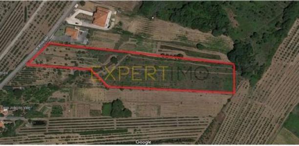 Annonce Vente Terrain Bombarral