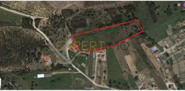 Annonce Vente Terrain Azambuja
