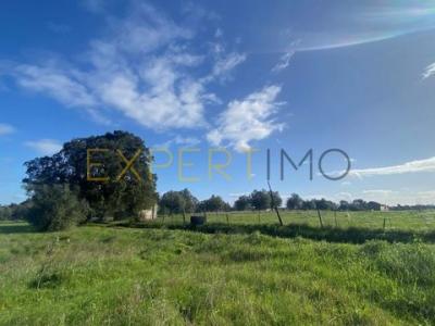 Acheter Maison Santarem rgion SANTAREM