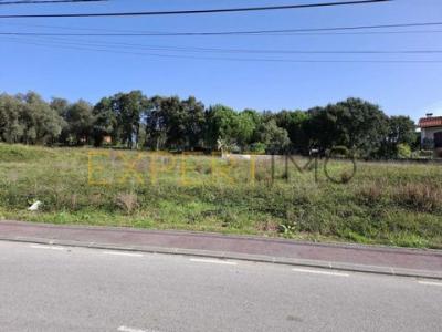 Acheter Terrain 2600 m2 Anadia
