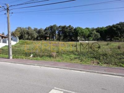 Acheter Terrain Anadia rgion AVEIRO
