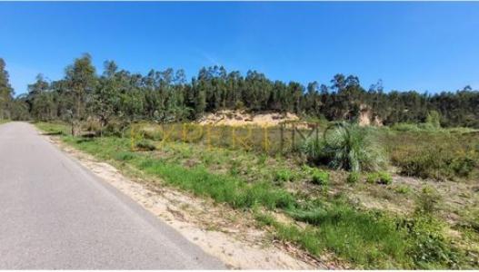 Acheter Terrain 32767 m2 Ourem
