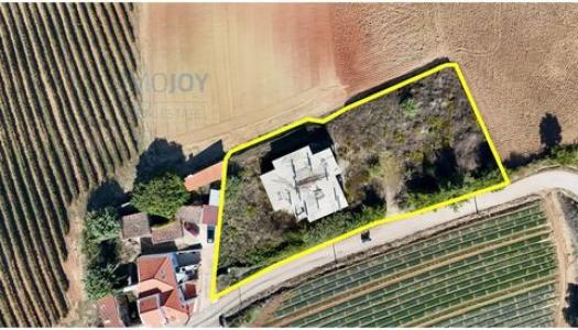 Annonce Vente Terrain Azueira