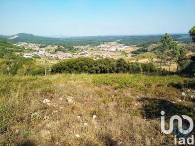Vente Terrain Rio-maior RIO-MAIOR 14 au Portugal