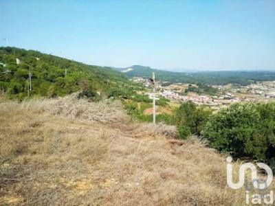 Acheter Terrain 1150 m2 Rio-maior