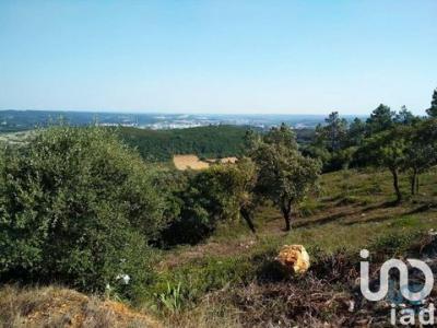Acheter Terrain Rio-maior rgion SANTAREM