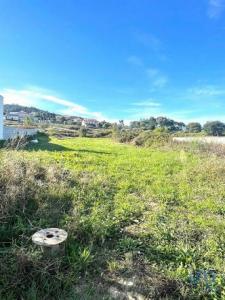 Annonce Vente Terrain Aldreu
