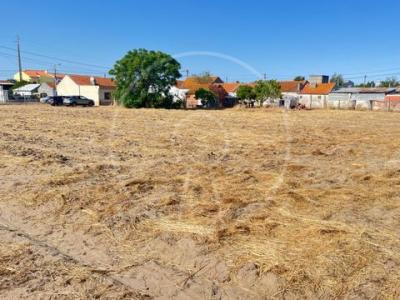 Annonce Vente Terrain Montijo