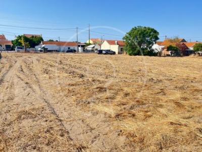 Acheter Terrain 22512 m2 Montijo