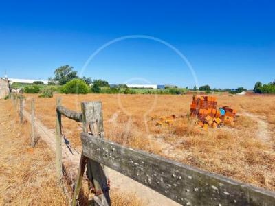 Acheter Terrain Montijo rgion SETUBAL