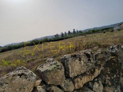 Annonce Vente Terrain Gouveia
