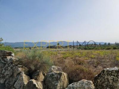 Acheter Terrain 19340 m2 Gouveia