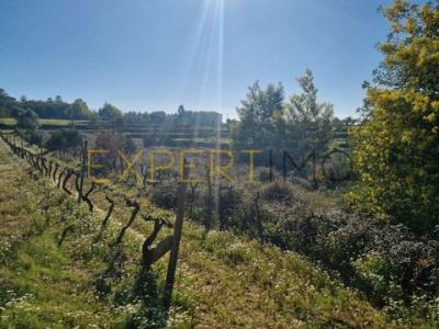 Vente Terrain Gouveia VILA-NOVA-DE-TAZEM 04