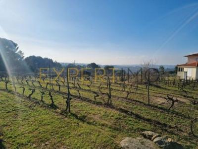 Annonce Vente Terrain Gouveia