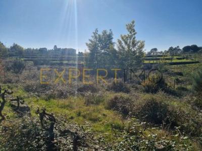Acheter Terrain 32767 m2 Gouveia