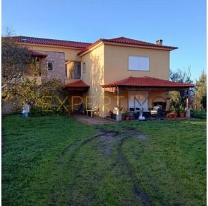 Annonce Vente Maison Gouveia