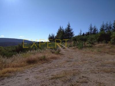 Acheter Maison 14400 m2 Guarda