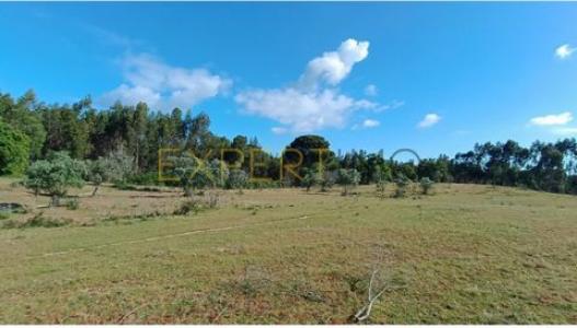 Acheter Terrain 29457 m2 Montijo