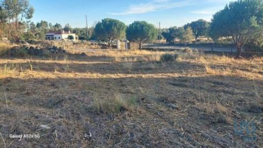 Acheter Terrain 25000 m2 Portalegre