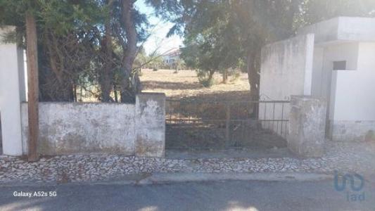 Annonce Vente Terrain Portalegre