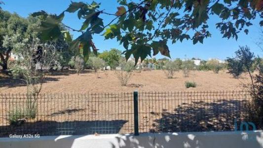Acheter Terrain 300 m2 Portalegre