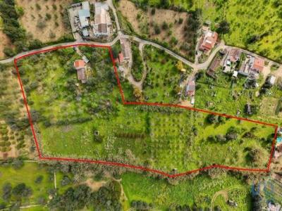 Annonce Vente 10 pices Maison Tavira