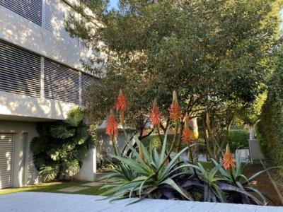 Acheter Maison 720 m2 Lisboa