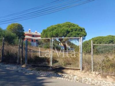 Acheter Terrain 800 m2 Cascais