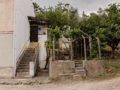Acheter Maison 105 m2 Sardoal
