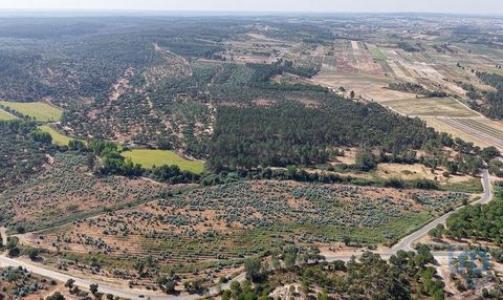 Acheter Terrain 32767 m2 Alpiarca