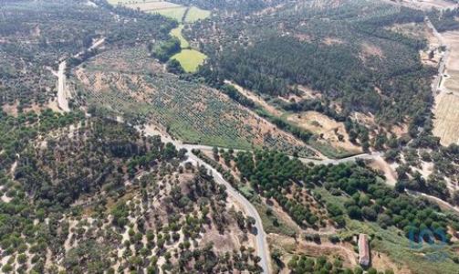Acheter Terrain Alpiarca rgion SANTAREM