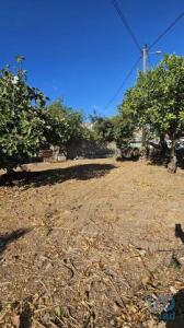 Annonce Vente Terrain Loule